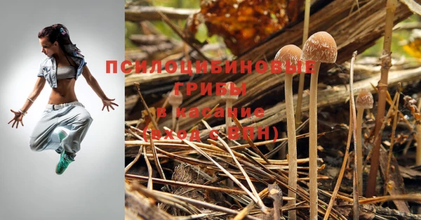 экстази Абаза