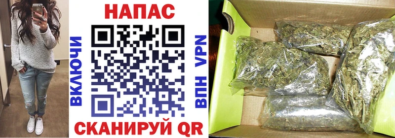 Каннабис планчик Старый Крым